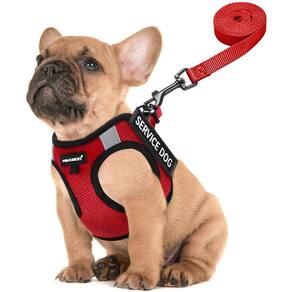 Colete leve para cães de serviço FAYOGOO para raças pequenas com adesivos