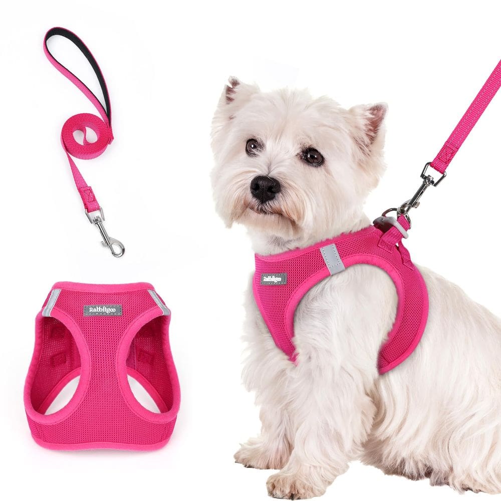 Conjunto de arnês para cães rabbitgoo Step-in Small com coleira rosa vermelha