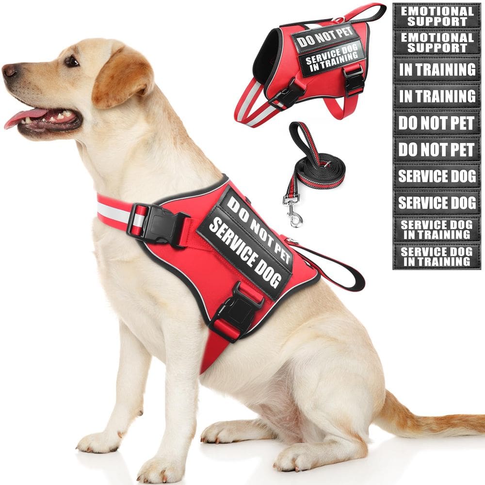 Conjunto de colete e coleira para cães de serviço MOOGROU vermelho tamanho L