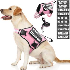 Conjunto de colete e coleira Service Dog MOOGROU rosa tamanho M