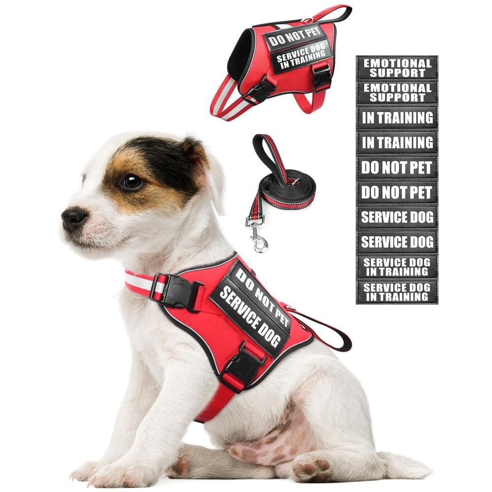 Conjunto de colete e coleira para cães MOOGROU para cães de serviço Red XS
