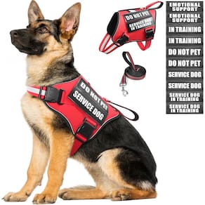 Conjunto de colete e coleira para cães de serviço MOOGROU Red XL