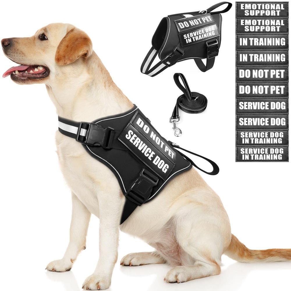 Conjunto de colete e coleira para cães de serviço MOOGROU Black L