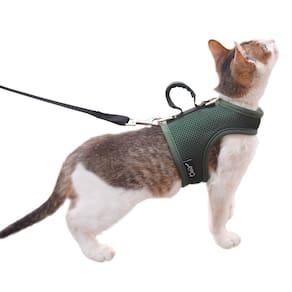 Conjunto de arnês e coleira para gatos YIZHI MIAOW Solid Green GG