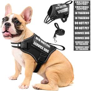 Conjunto de colete e coleira para cães de serviço MOOGROU Black M