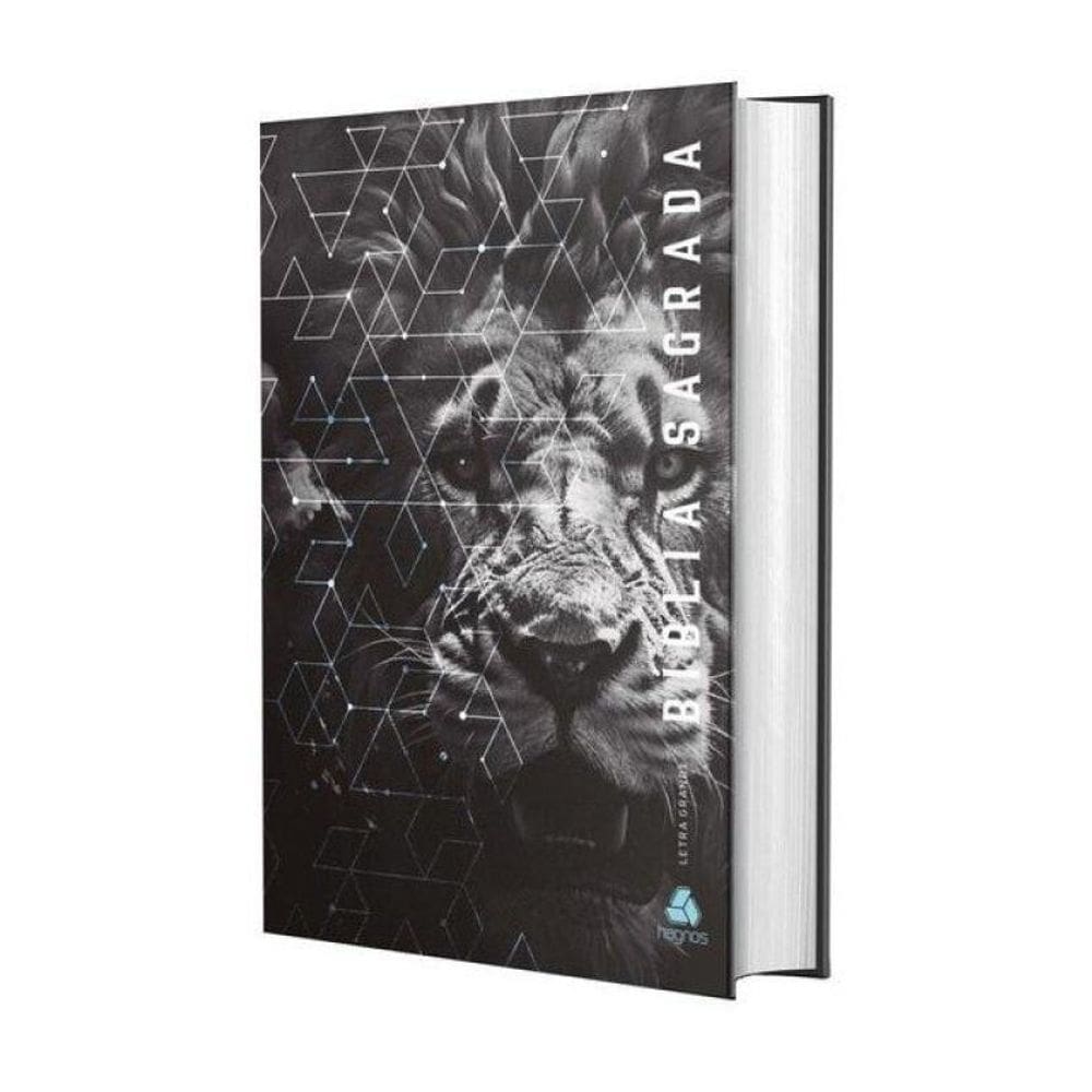 Bíblia Sagrada Nvi - Letra Grande