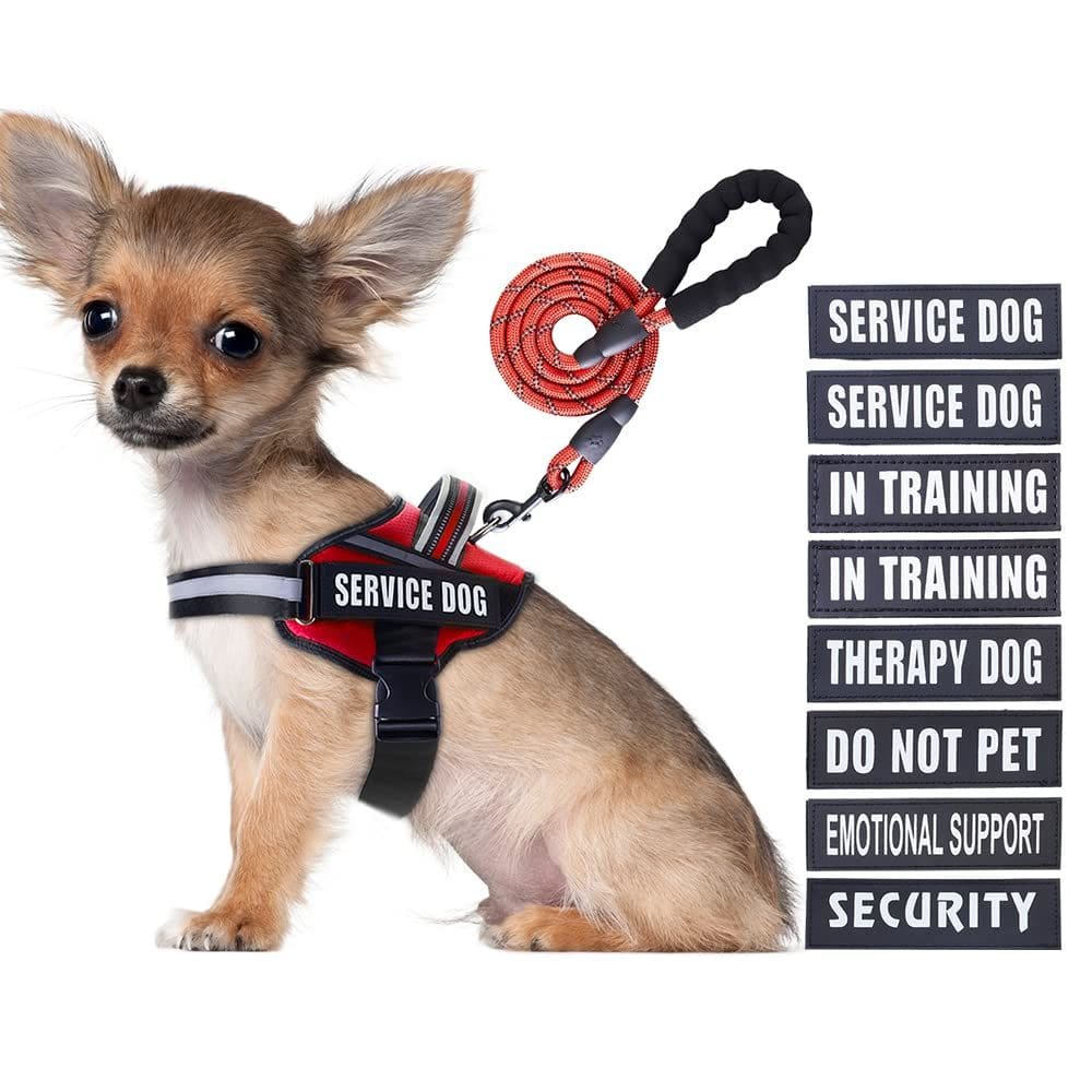 Conjunto de colete e coleira Service Dog Animire in Training