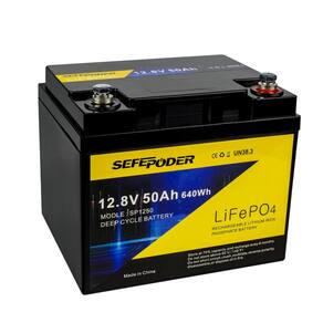 Bateria de lítio LiFePO4 12V 50Ah 4000+ de ciclo profundo com BMS