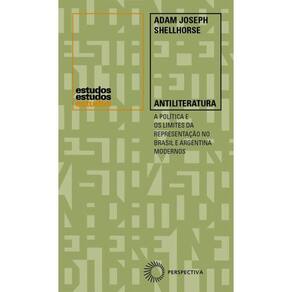 Antiliteratura: A Política e os Limites da Representação no Brasil e Argentina Modernos