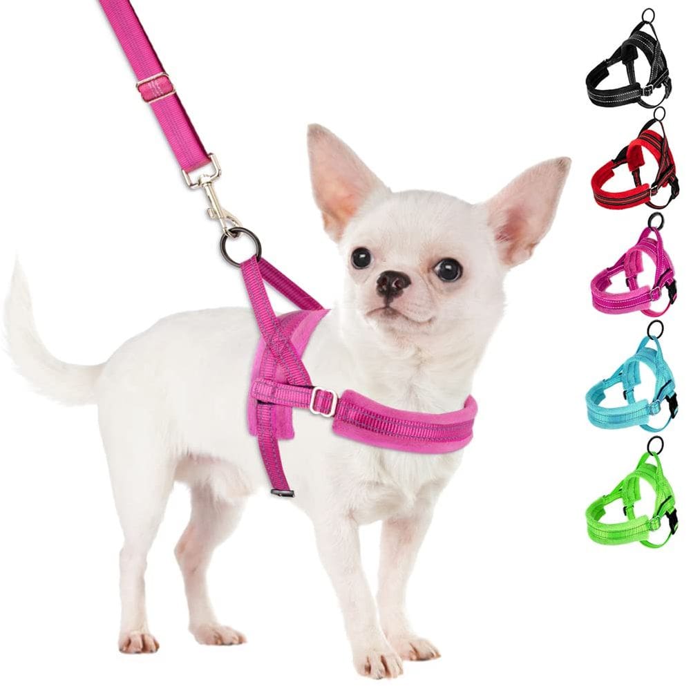 Conjunto de arnês e coleira para cães SlowTon No Pull para cães pequenos XS