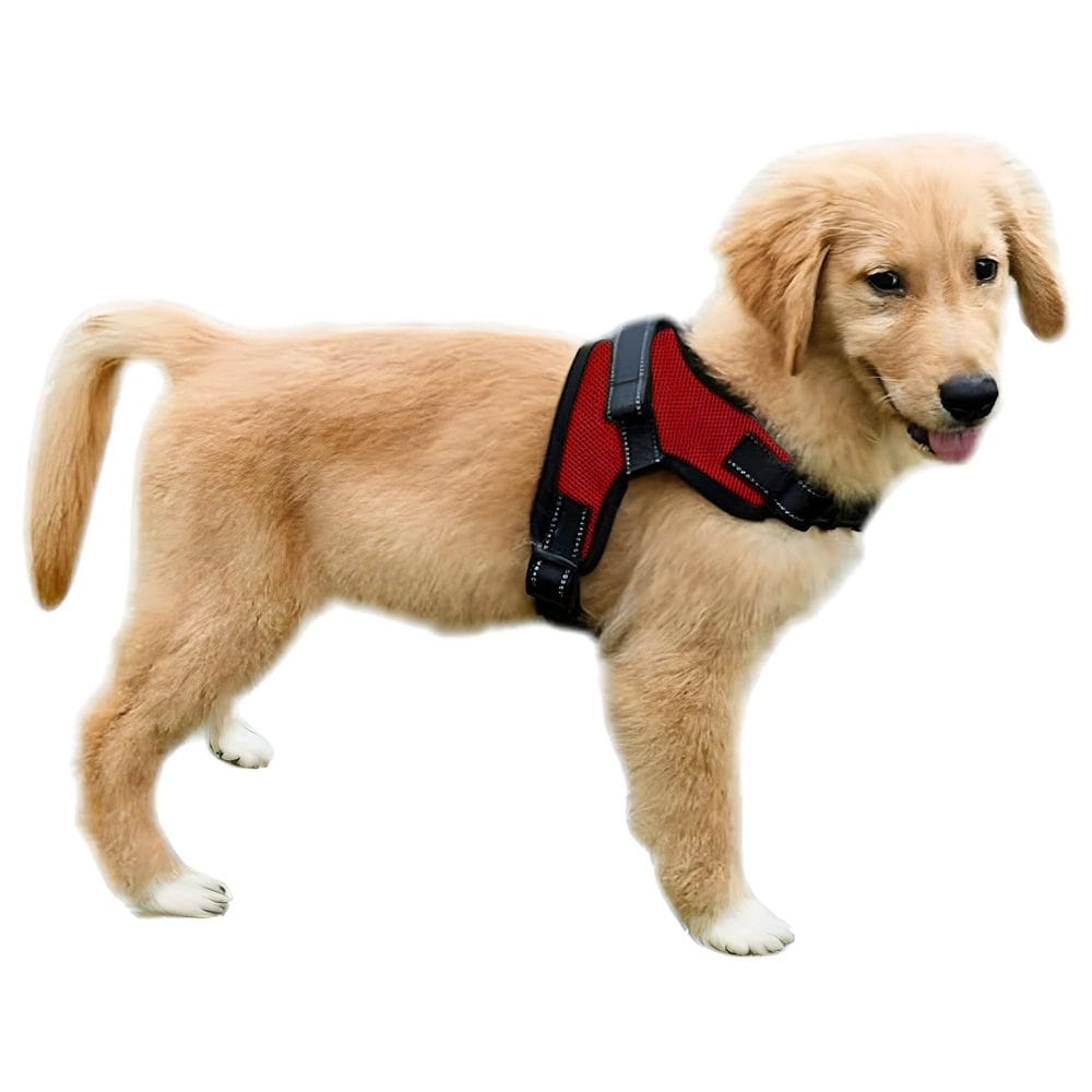 Arnês para cães Copatchy No Pull Refletivo Ajustável Vermelho XS