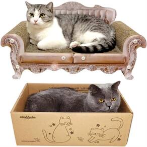 Sofá Cat Scratcher Bed miwoowim Kitty com caixa e almofada