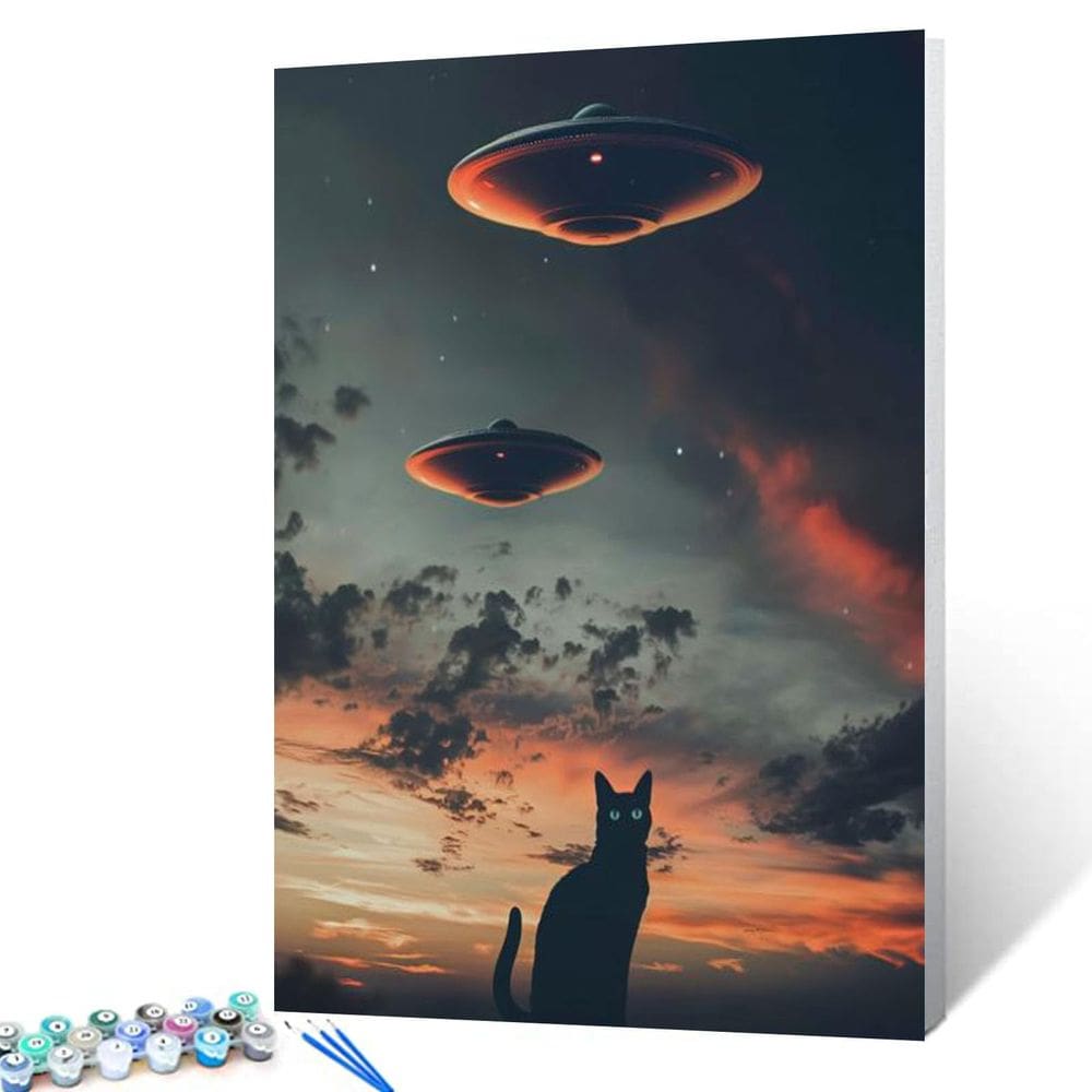 Paint by Numbers Tucocoo UFO Black Cat Tinta acrílica 40x50cm