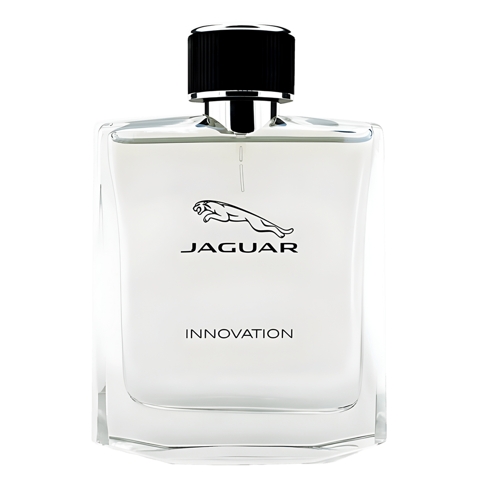 Jaguar Innovation Eau de Toilette - Perfume Masculino 100ml