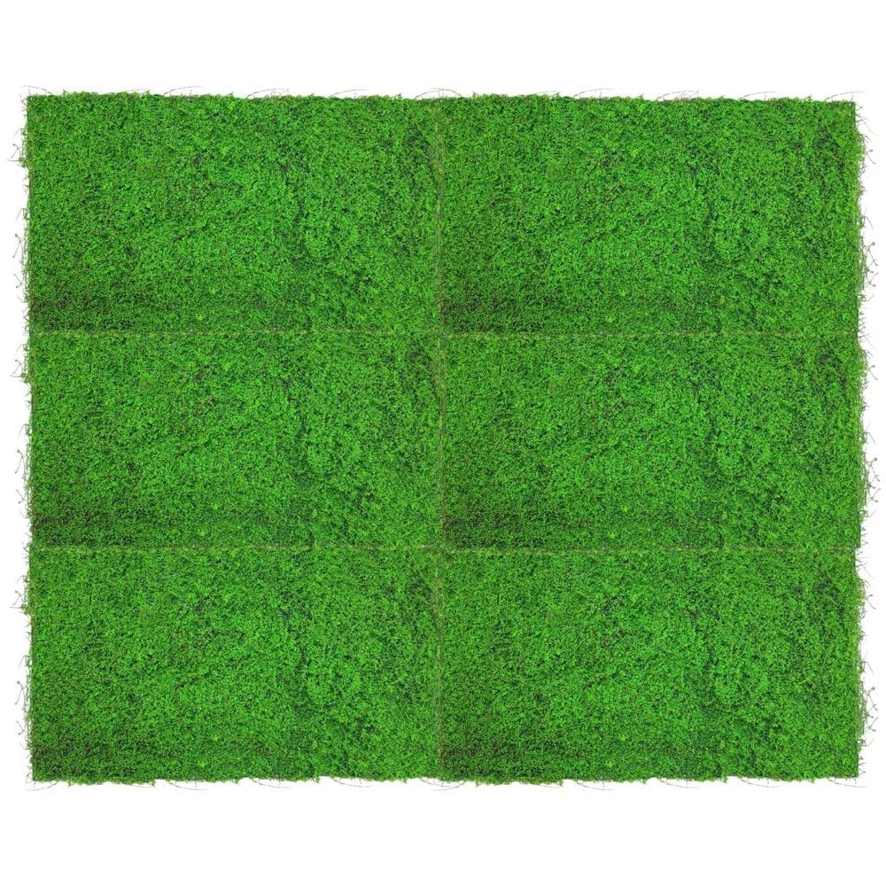 6x Placa Jardim Vertical Musgo (50x100) Verde SMO