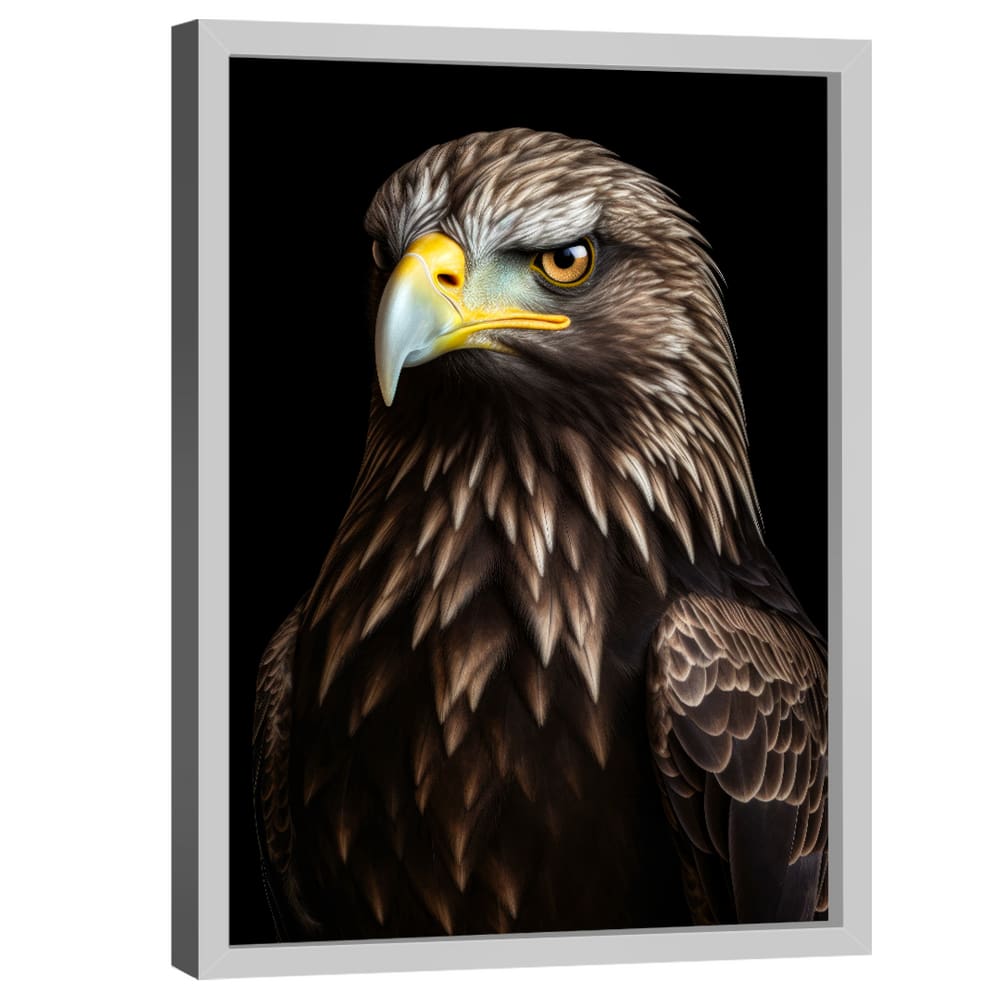 Quadro Decorativo Águia Europeia