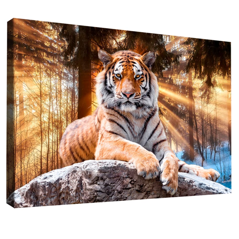 Quadro Decorativo Tigre Iluminado