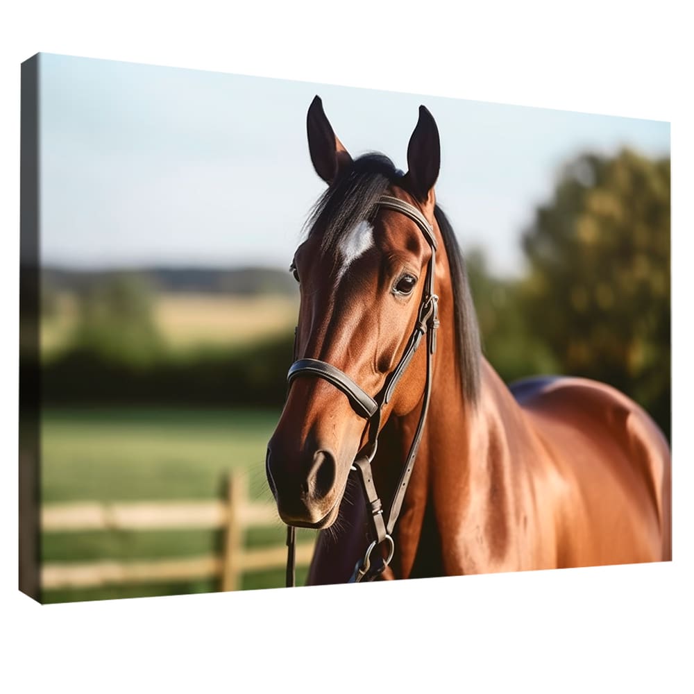 Quadro Decorativo Cavalo no Close