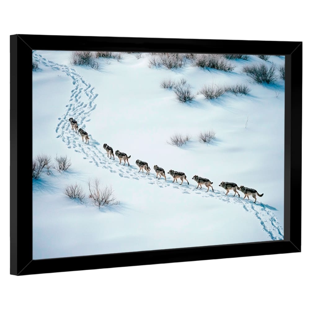 Quadro Decorativo Grande Alcateia