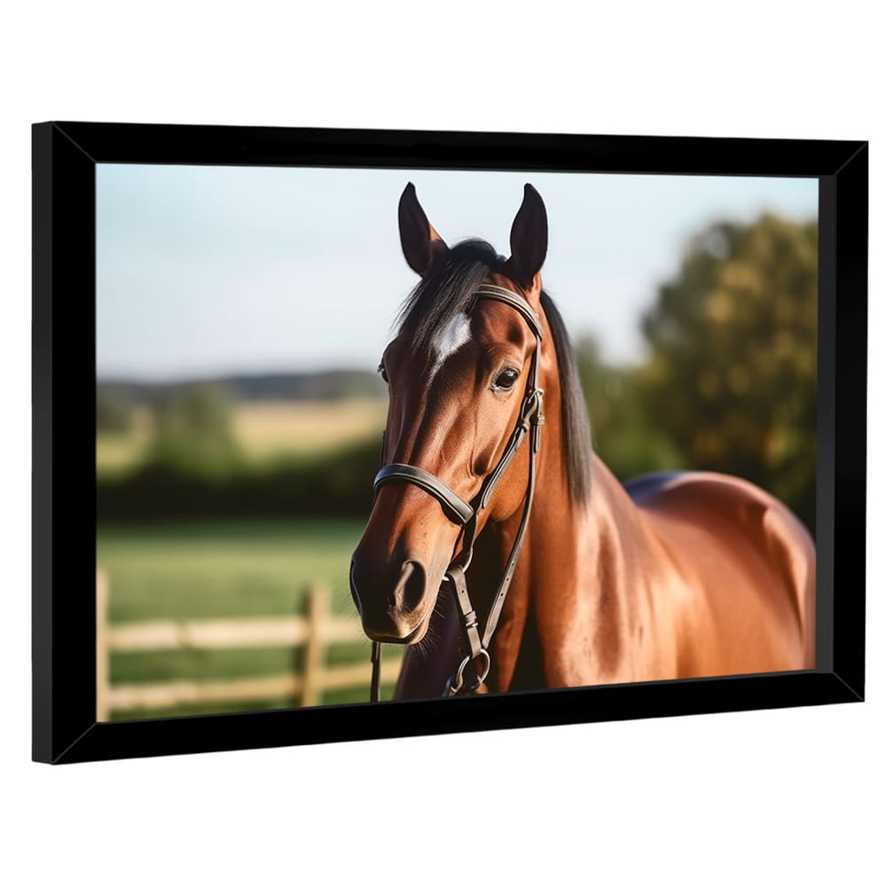 Quadro Decorativo Cavalo no Close