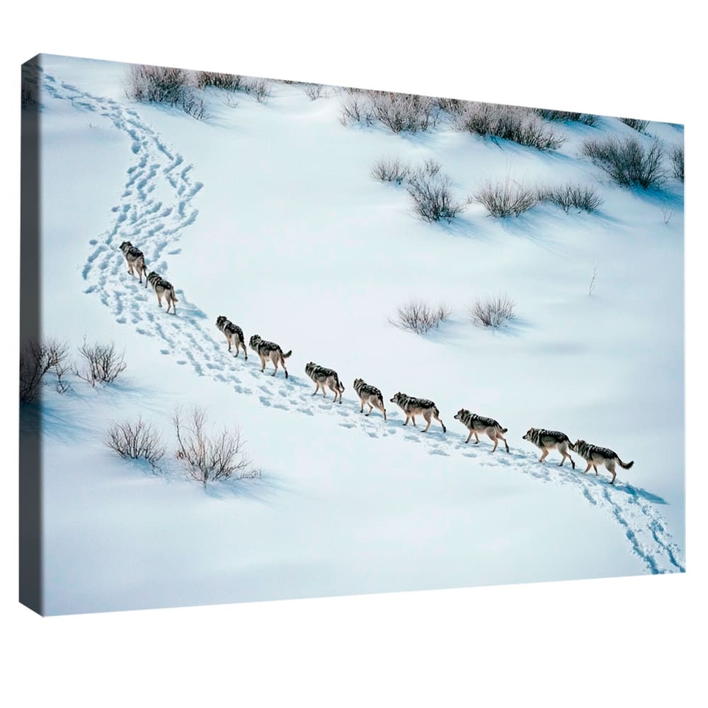 Quadro Decorativo Grande Alcateia