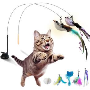 Brinquedos para gatos ZOYTEN 10 peças de brinquedos interativos para gatinhos, varinha de penas