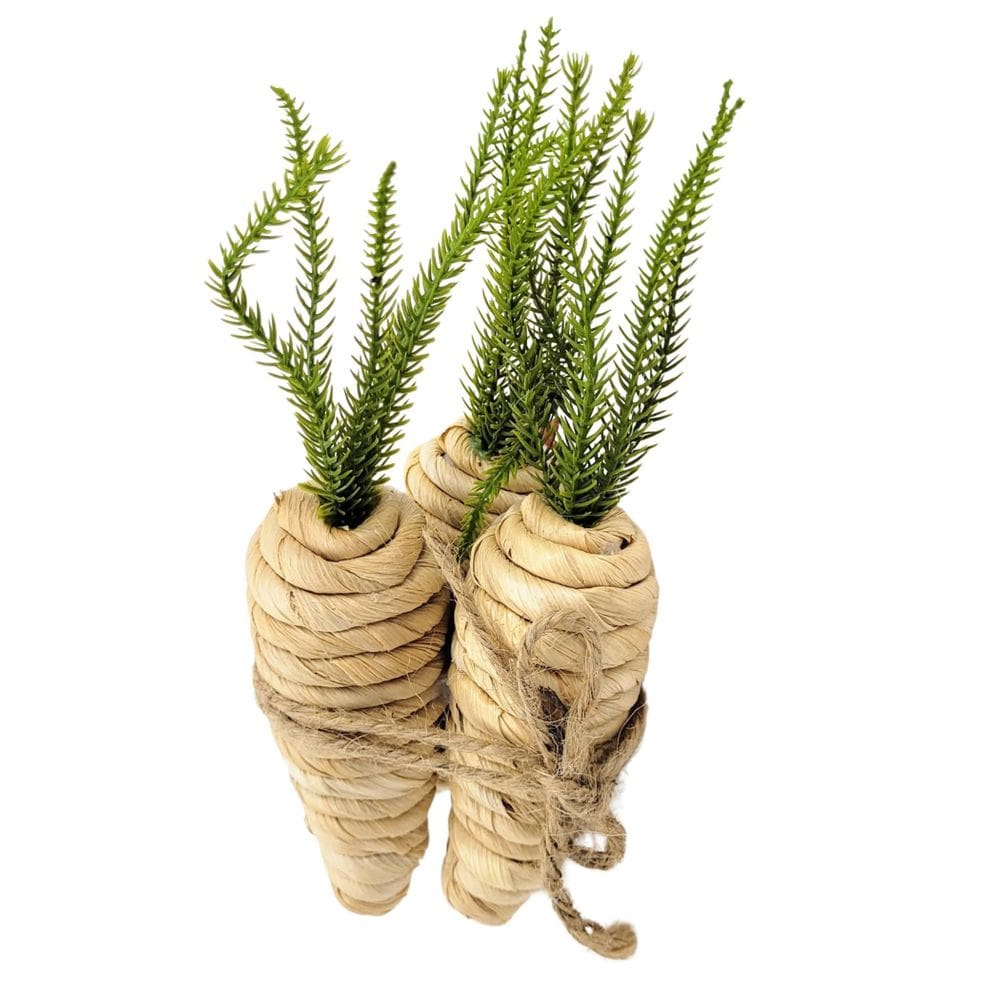 Trio Cenoura Fibra Natural 20X8X8Cm Decoração De Páscoa