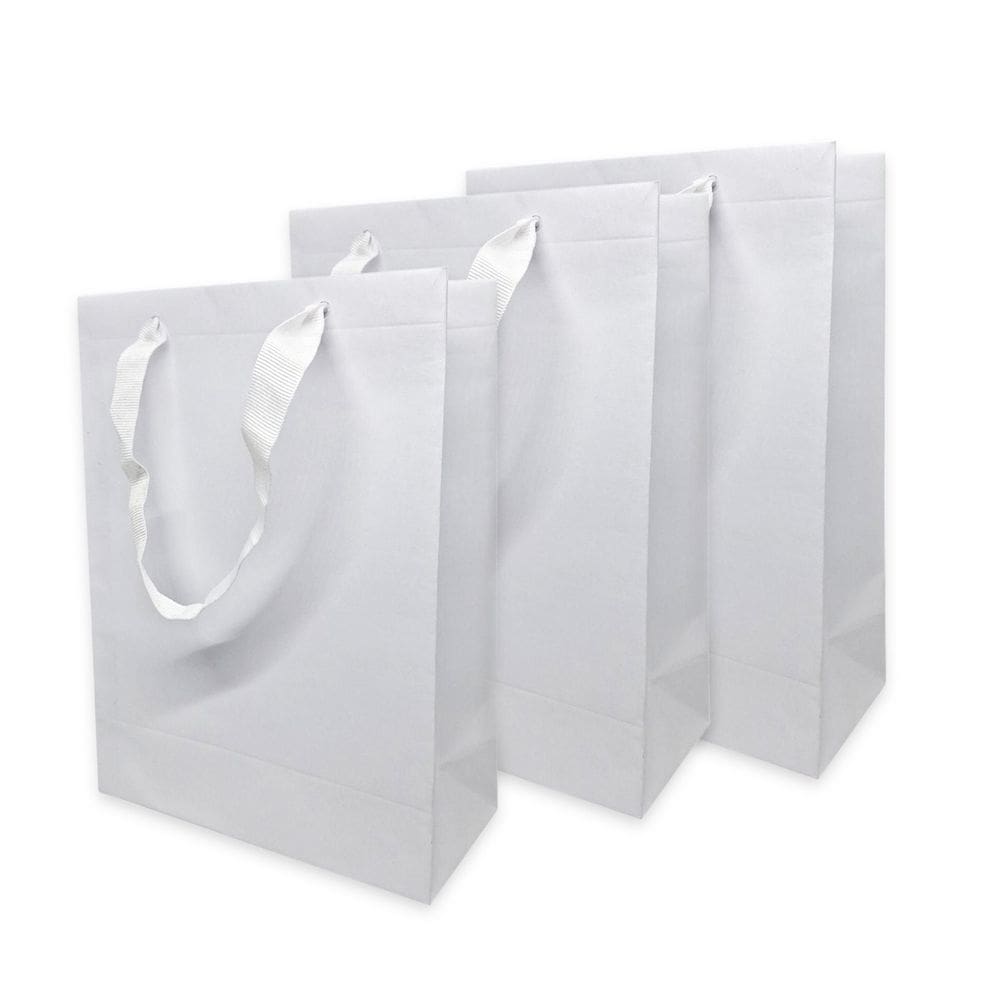 Kit 10 Sacola De Papel Offset P Alça Prática Unidade 20 cm