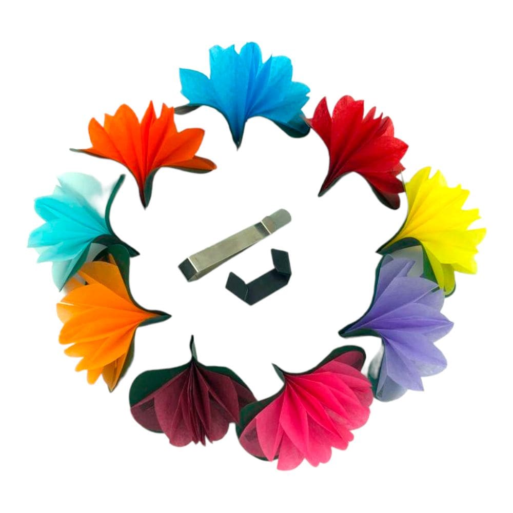 Produção de flores na mão - Flowers from empty hand