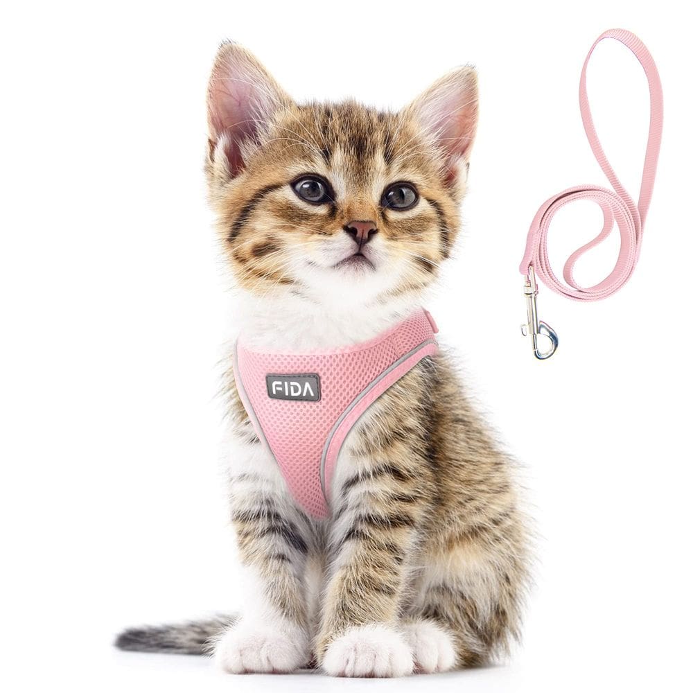 Arnês para animais de estimação com coleira Fida Comfy para cachorros e animais de estimação extrapequenos