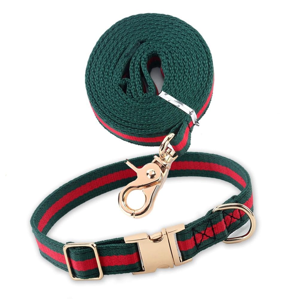 Conjunto de coleira e coleira para cães Echentie moderno e elegante