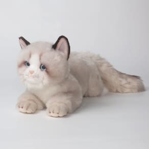 Brinquedo de pelúcia cinza CU-MATE Ragdoll Cat 50 cm