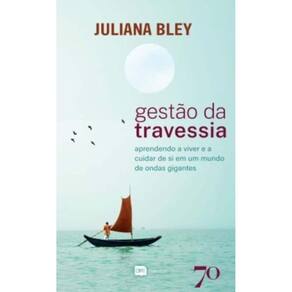 Gestão da Travessia - Aprendendo a viver e a cuidar de si em um mundo de ondas gigantes