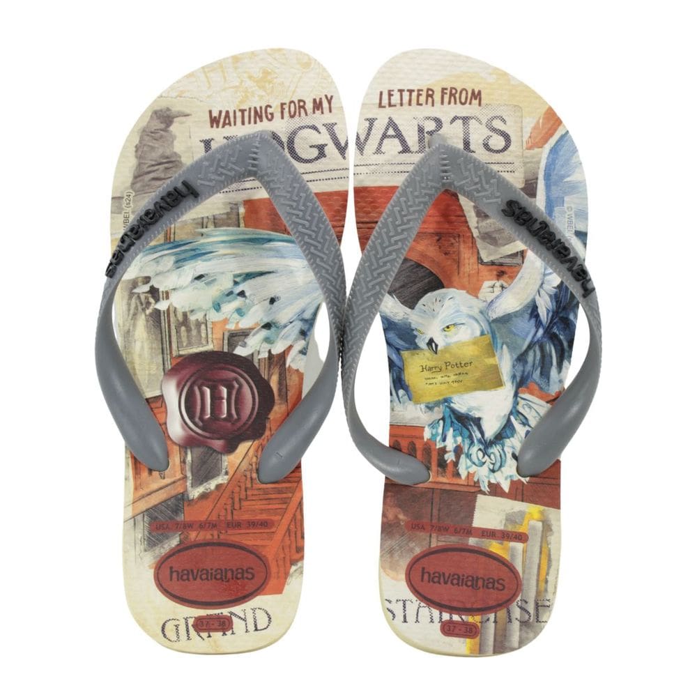 Chinelo Havaianas Top Clássicos Warner Harry Potter Cinza