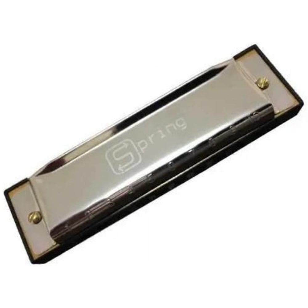 Gaita Harmônica Blues Spring Diatônica G Sol