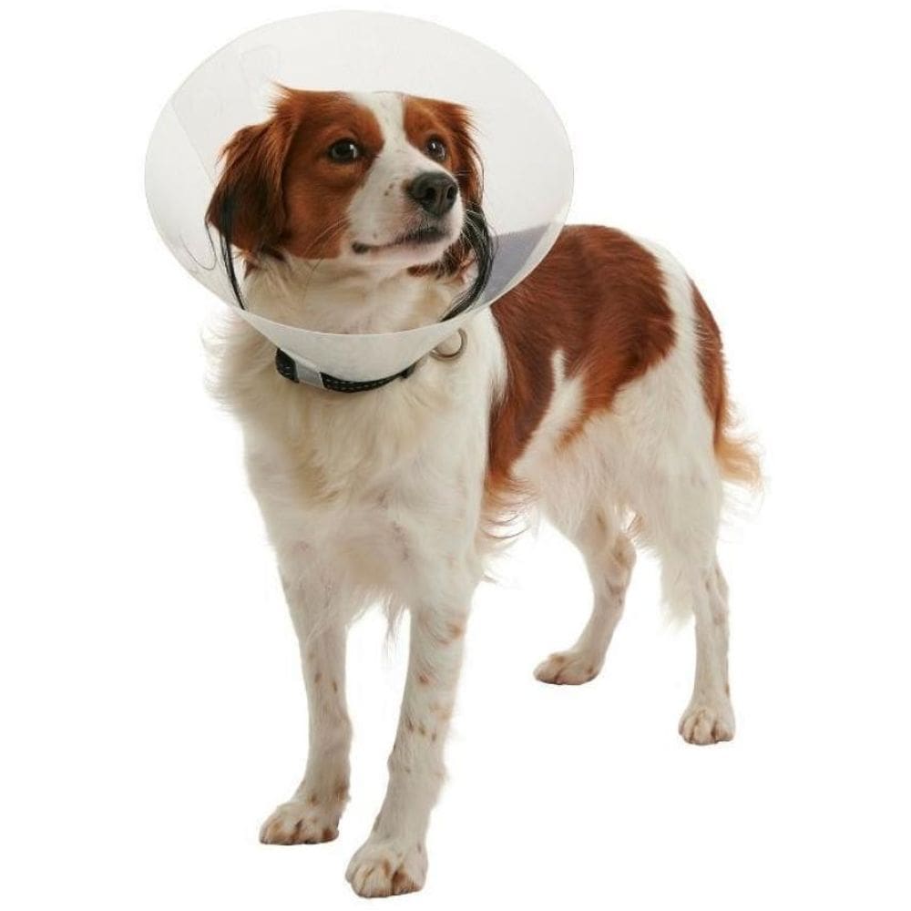 Colar Elizabetano Pet Para Cachorro Kruuse Buster Clic 30Cm