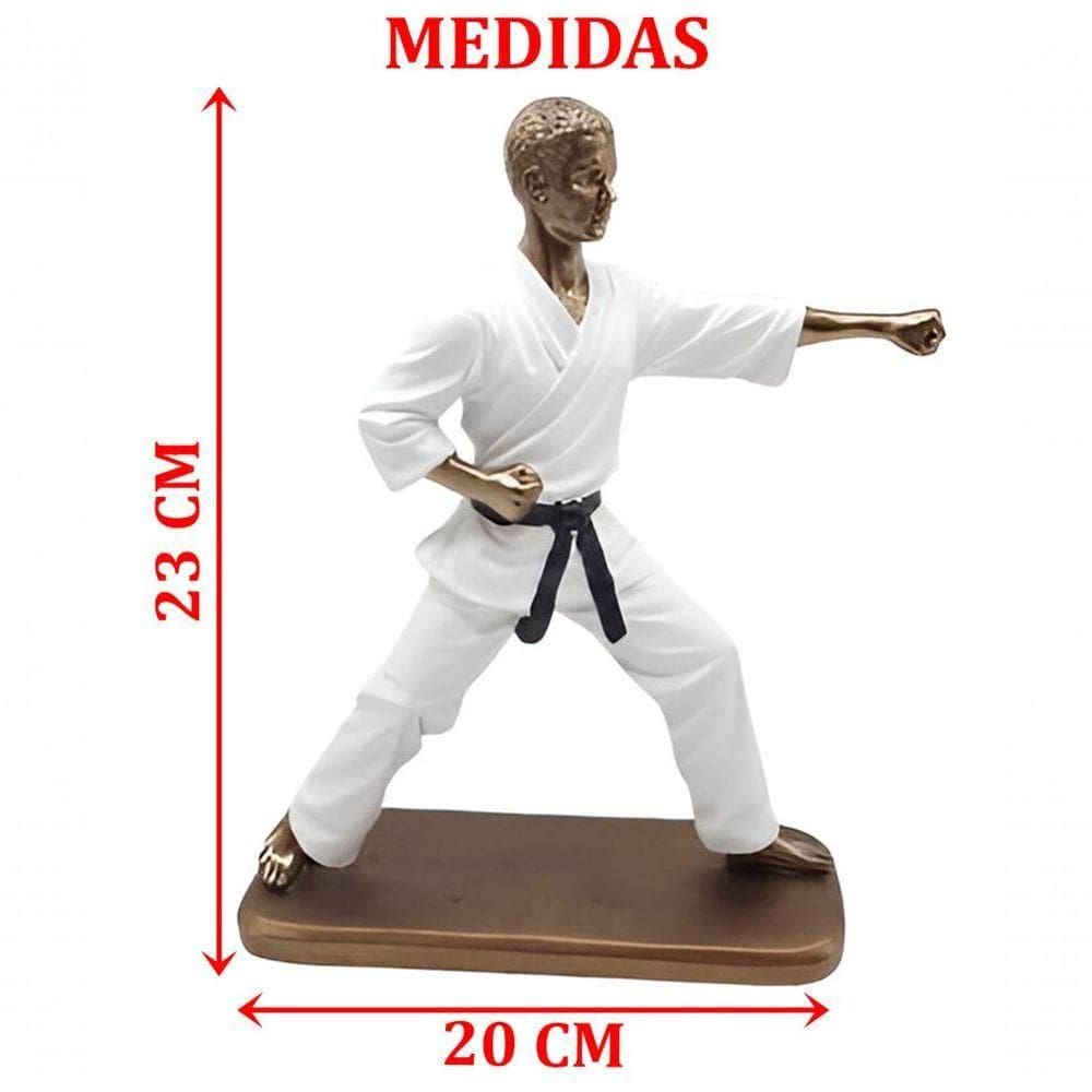 Estatueta Decoração Lutador Jiu-jítsu Escultura Resina 23cm