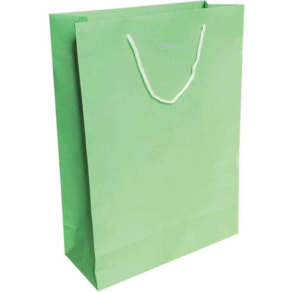 Sacola Para Presente Cores Vivas Gd  40X29X12Cm