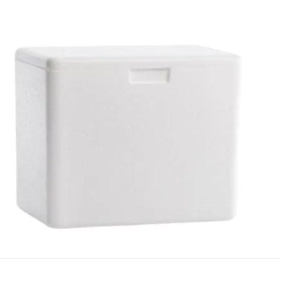 Caixa Térmica Isopor Grande 35Litros Sorvete Refrigerante