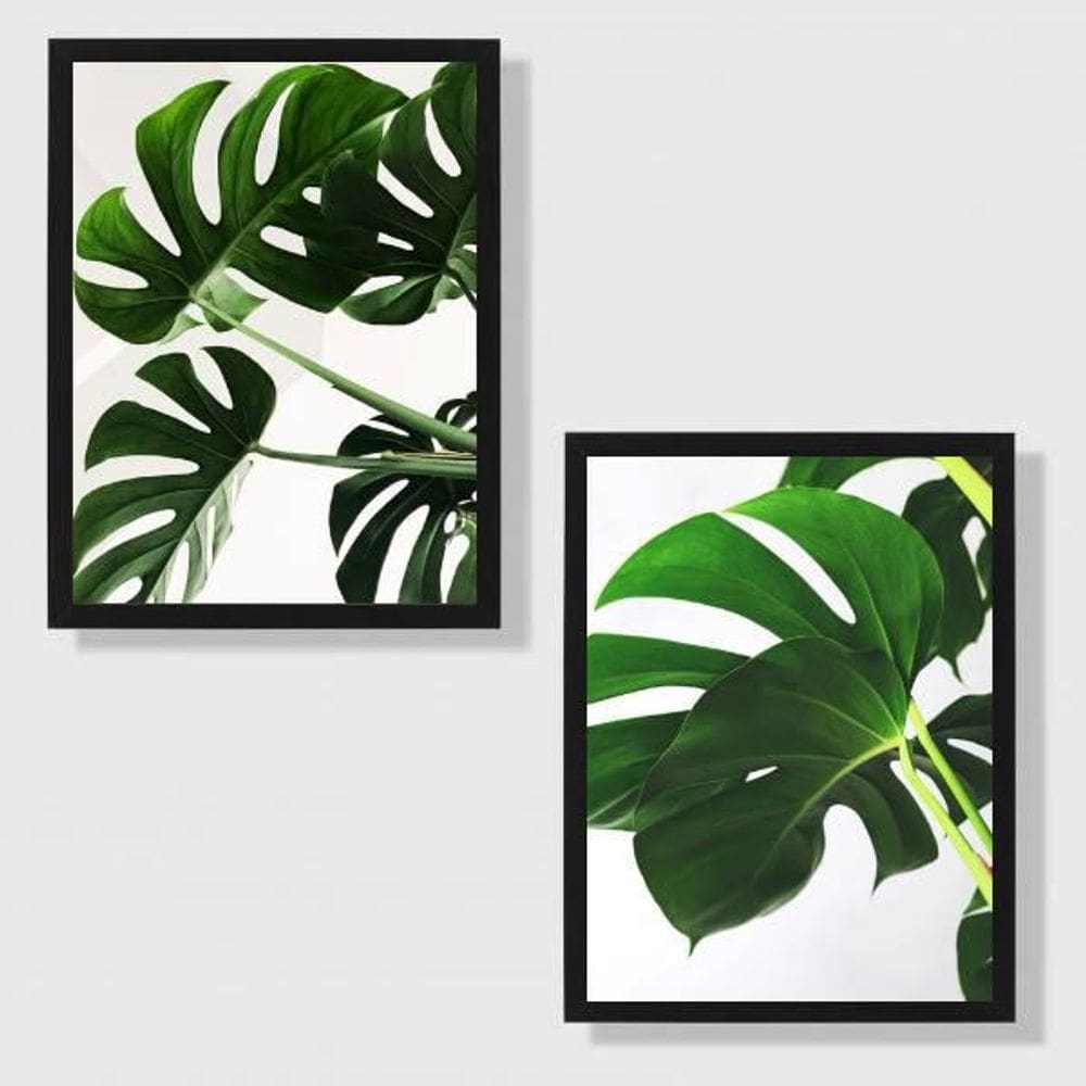 Kit 2 Quadros Costela De Adão 24X18Cm