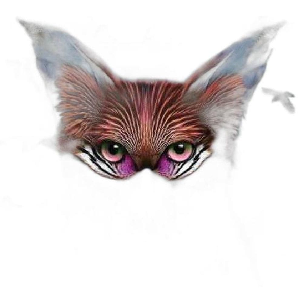 Cd Galantis - The Aviary