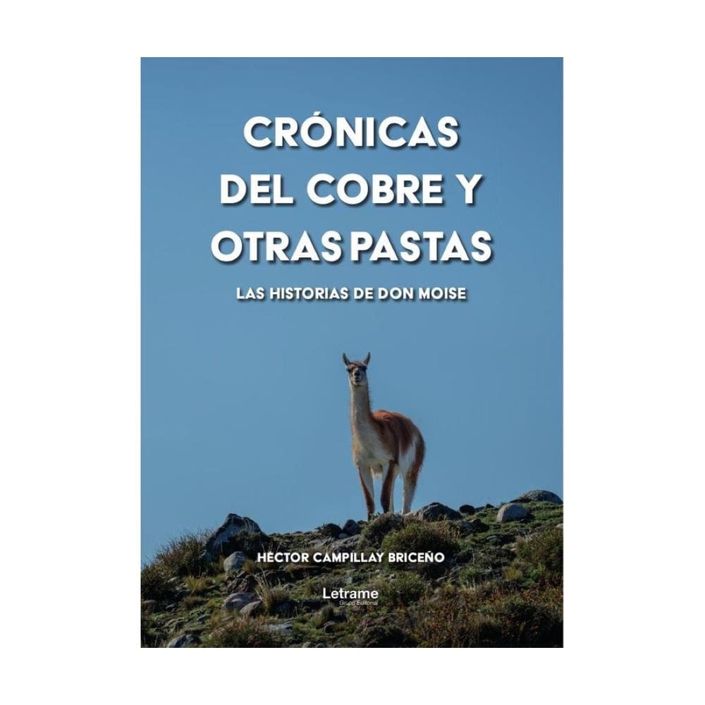 Crónicas del cobre y otras pastas - Espanhol
