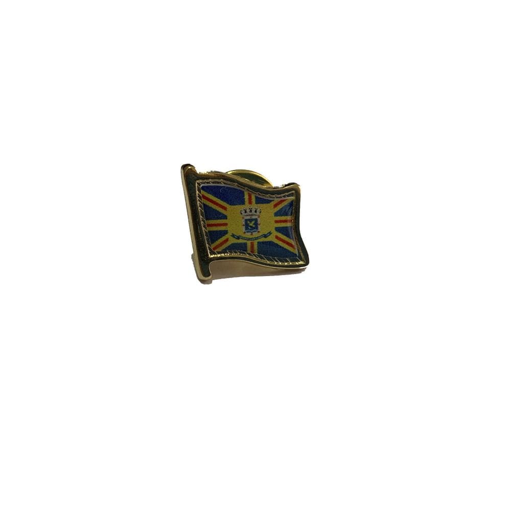 Pin Da Bandeira De Campo Grande
