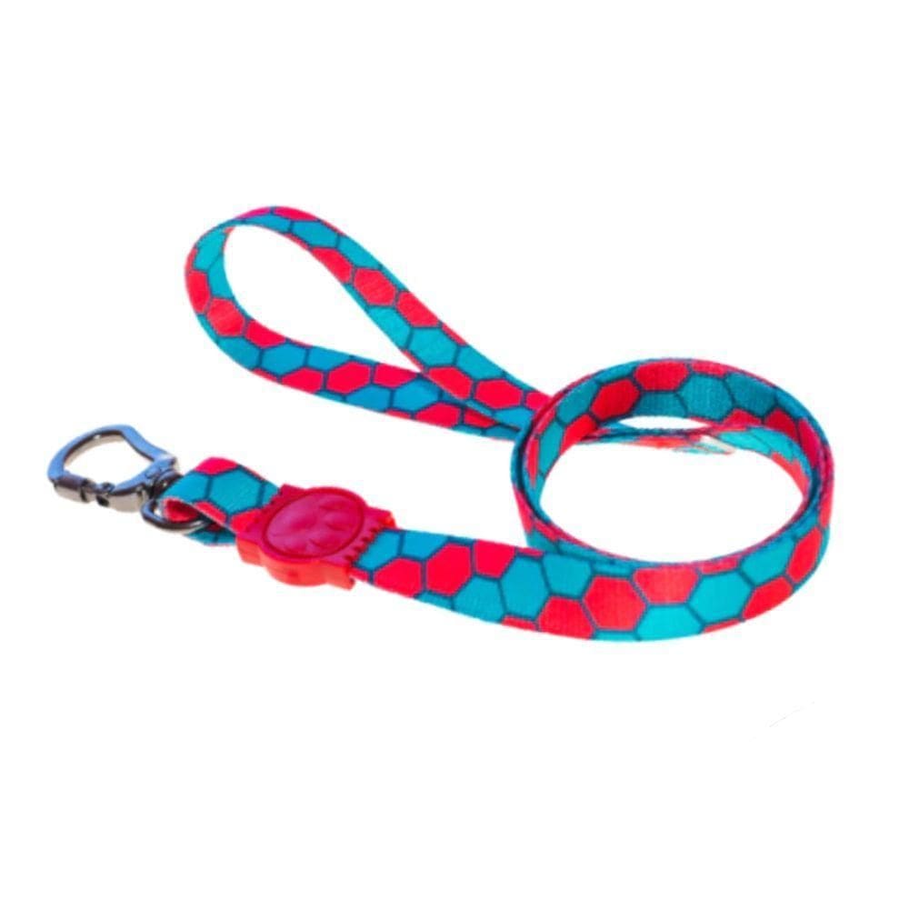 Guia Para Cães Colmeia Ampla Pet Tamanho M