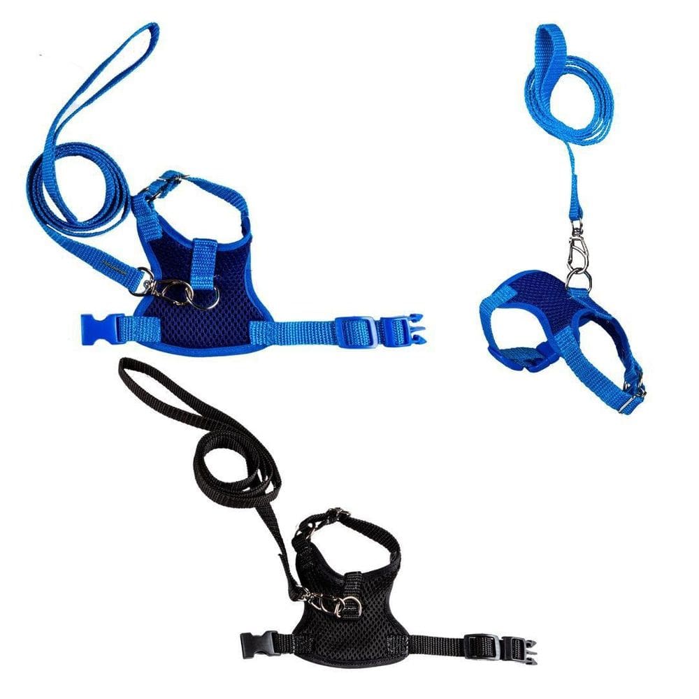 Kit 2 Coleiras Peitorais Ajustáveis - Porquinho da Índia