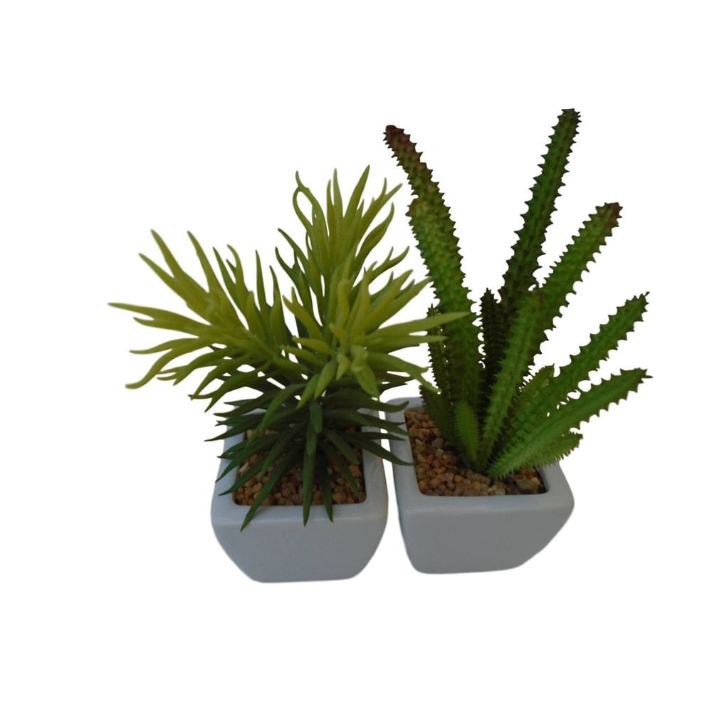 Kit 2 mini arranjos de suculentas em silicone vaso branco