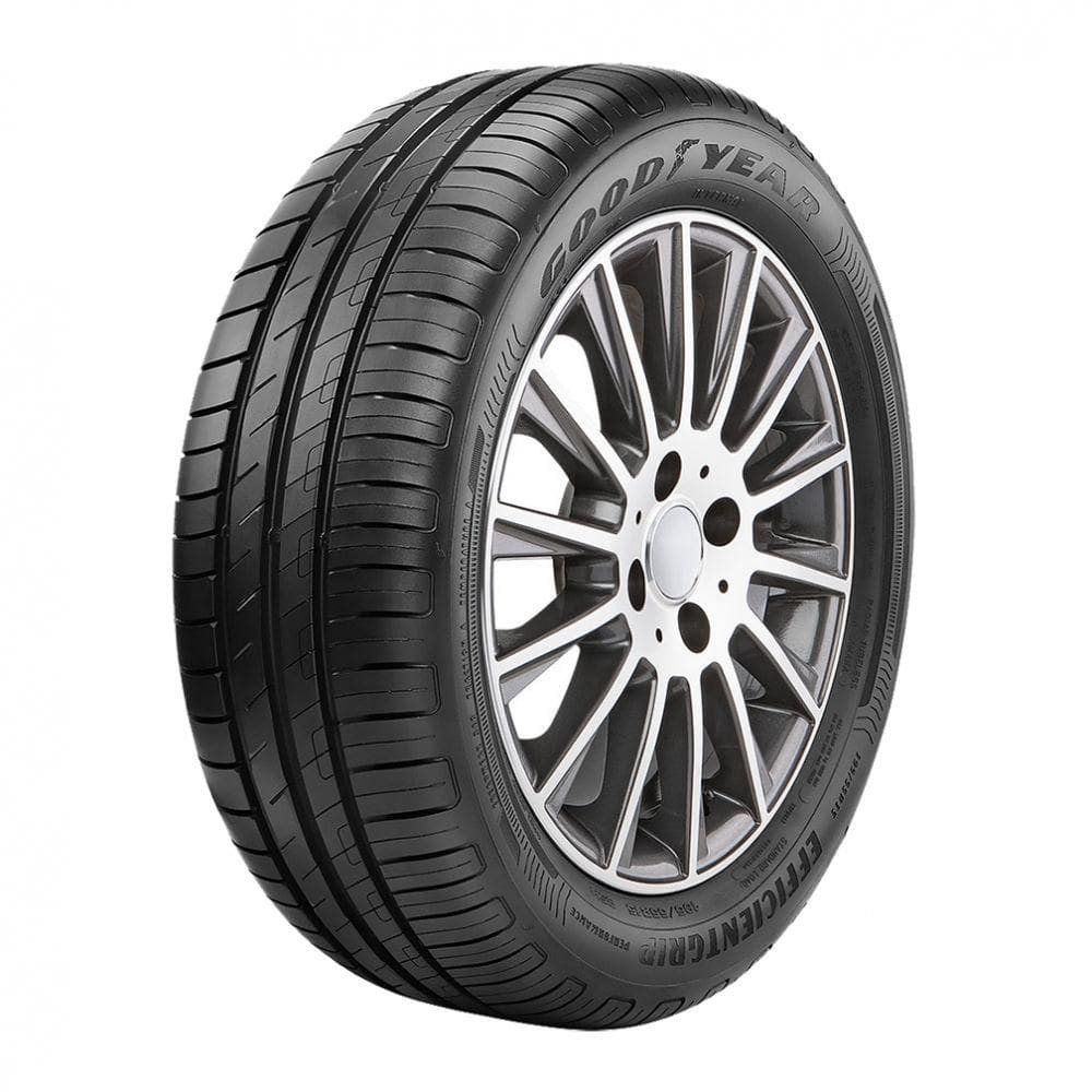 Pneu Goodyear Aro 19 245/45R19 Efficientgrip Performance 102V