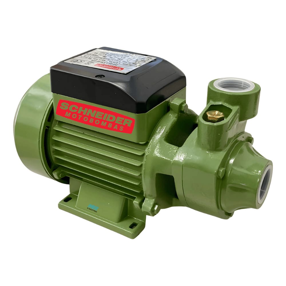 Motobomba Schneider Periférica Pg 1cv P/ Altura Máxima 48 Metros 127V