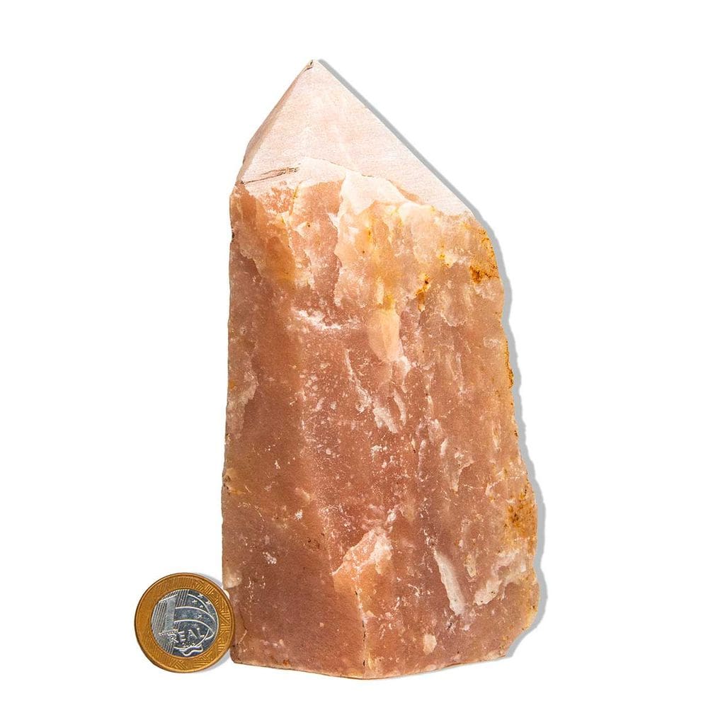 01 Quartzo Goiaba Pé e Bico 15 a 25cm 0.9 a 1.1kg Tipo B