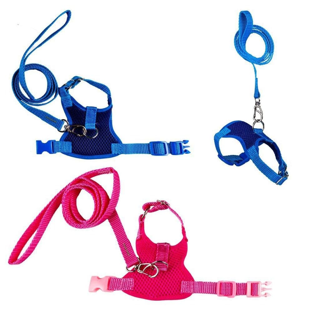 Peitoral Porquinho Índia - Kit Ajustável - Guia 90cm